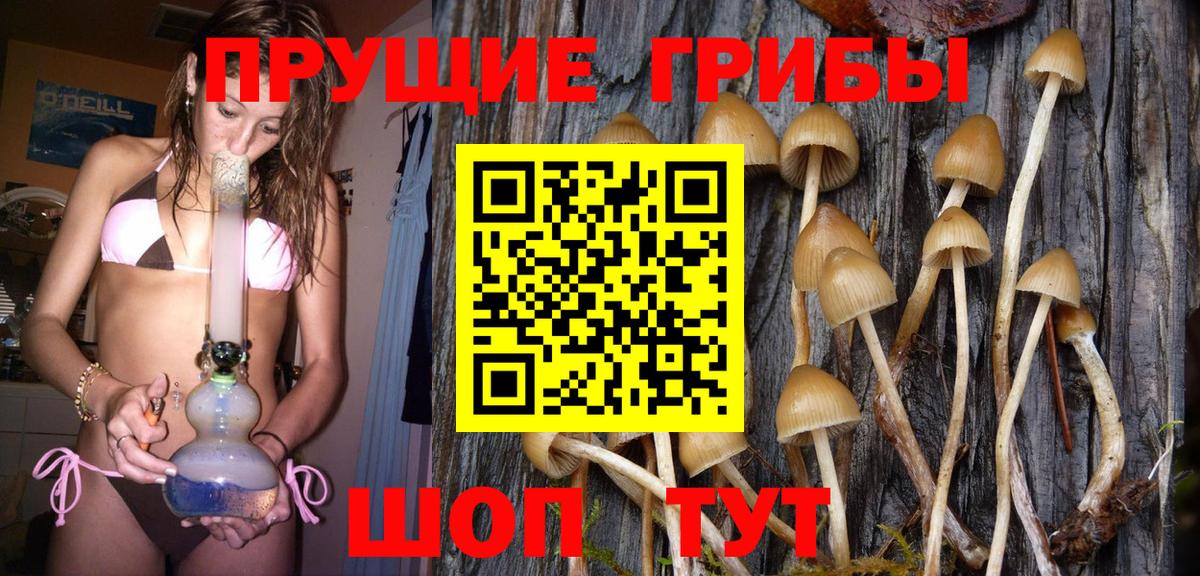 Псилоцибиновые грибы GOLDEN TEACHER  Галлюциногенные грибы MAGIC MUSHROOMS  Каменск-Уральский  Вход с VPN 