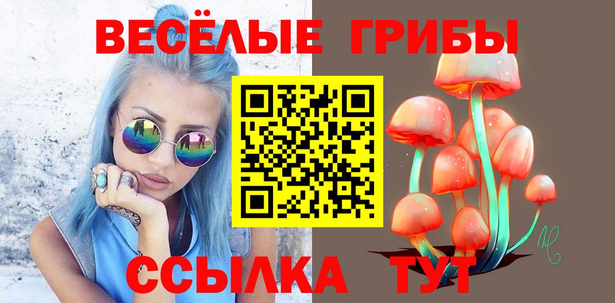 Галлюциногенные грибы GOLDEN TEACHER Каменск-Уральский